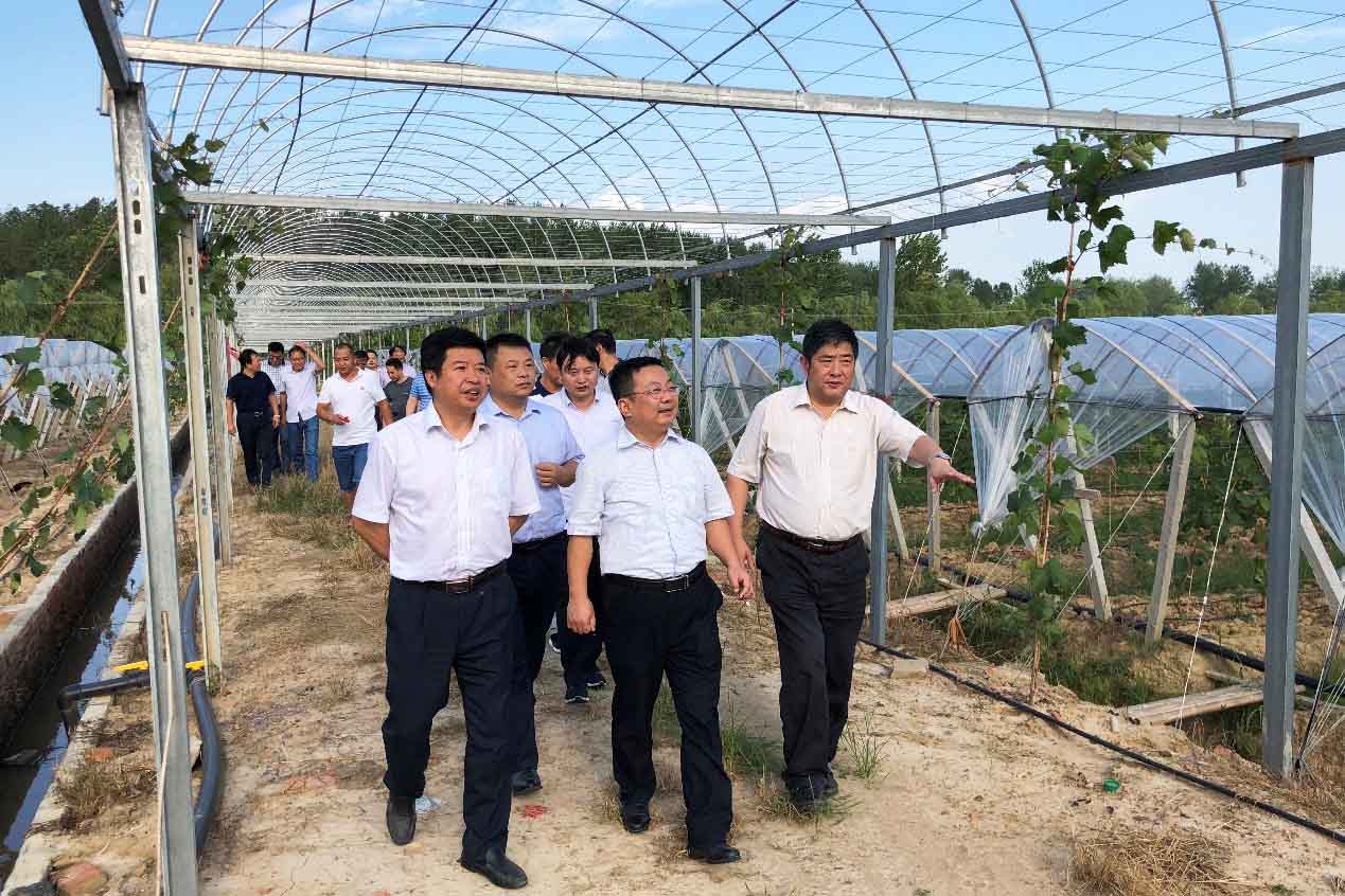 USDT数字钱包(中国区)官方网站
